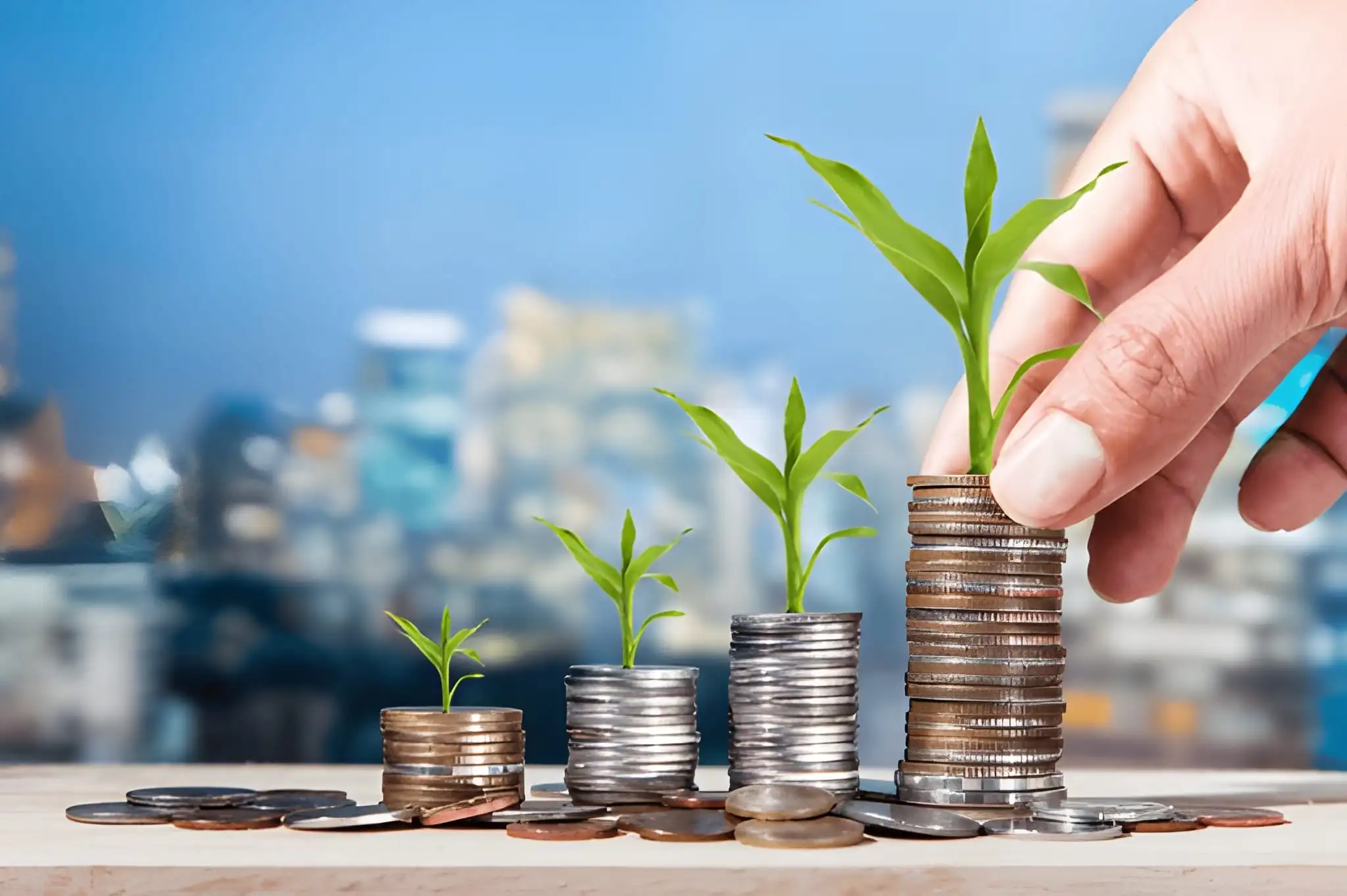 coins business loans growth